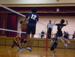Dekigoto 2016-12-17 Volleyball Shinjin Taikai