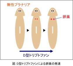 Dekigoto 2017-03-24 Ronbun Koukai
