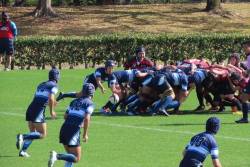 Dekigoto 2020-11-13 Rugby-bu Zenkoku Taikai Shutsujo