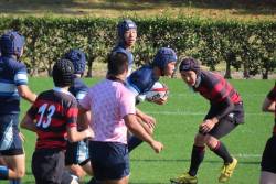 Dekigoto 2020-11-13 Rugby-bu Zenkoku Taikai Shutsujo