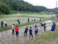 Dekigoto 2025-06-14 Nougyou Taiken