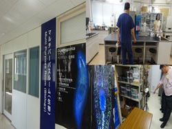 Dekigoto 2026-08-18 Shokubajyunshi