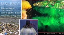 news 2021-03-02 IEEE OES, UT21 Online -Underwater Video Competition