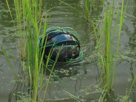 球型水田用除草ロボット